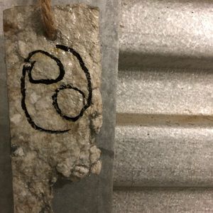 Cancer ♋️ Wall Art Hand made art 🖐🏽 Handmade